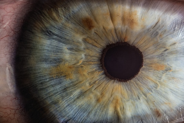 Close-up of a human eye